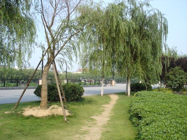 泰安小區綠化